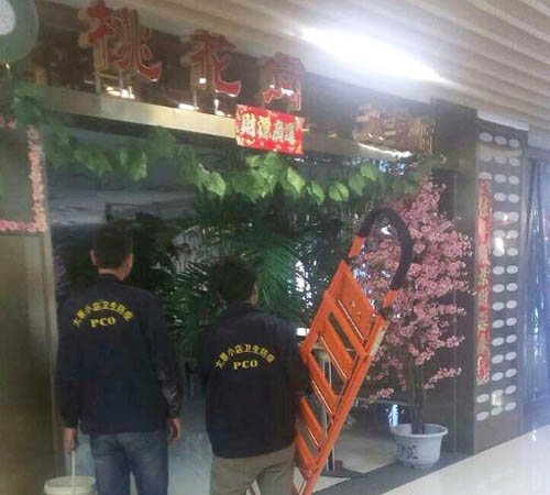 桃花崗新派茶餐廳