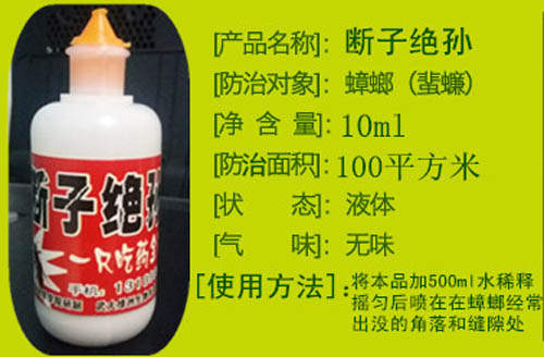 斷子絕孫-滅蟑螂藥 包郵