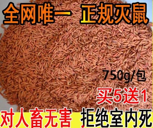 高效小麥藥滅鼠藥 包郵 镇康县地址84I4U扒了种晚