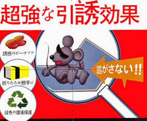 超強力粘鼠板包郵