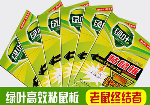 包郵 正品粘鼠板